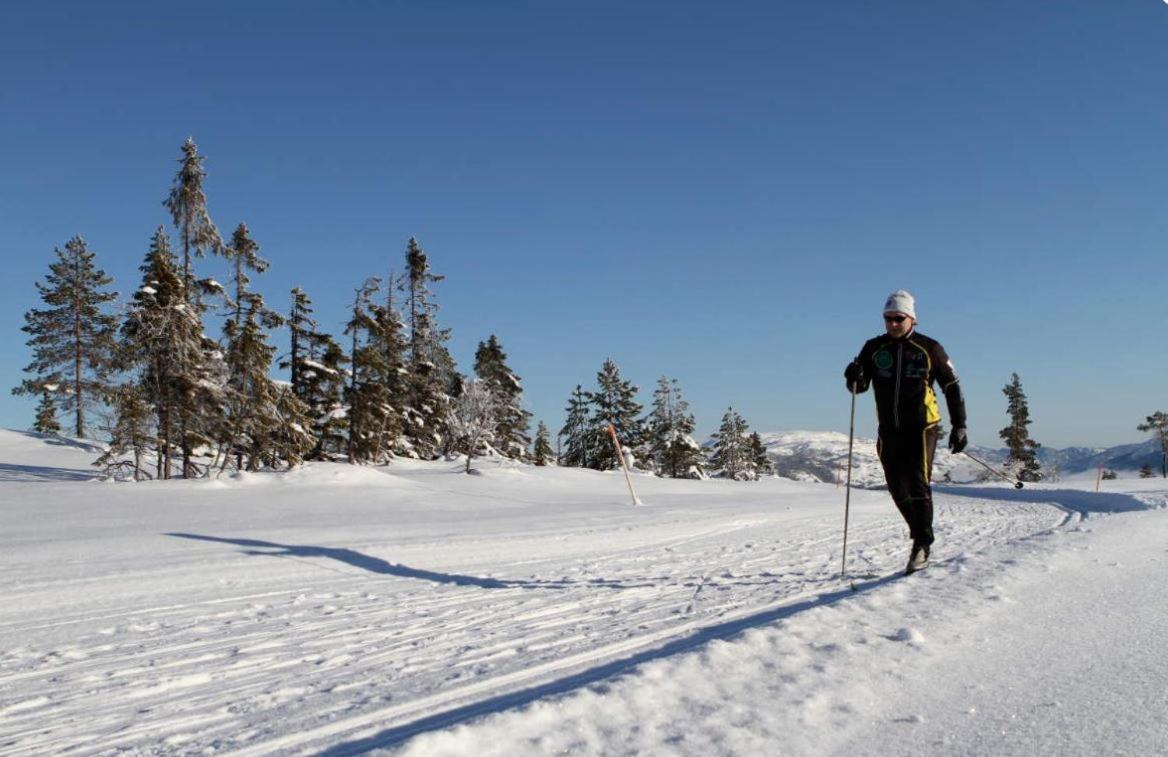 Norbel Hytte Norway فرادال المظهر الخارجي الصورة
