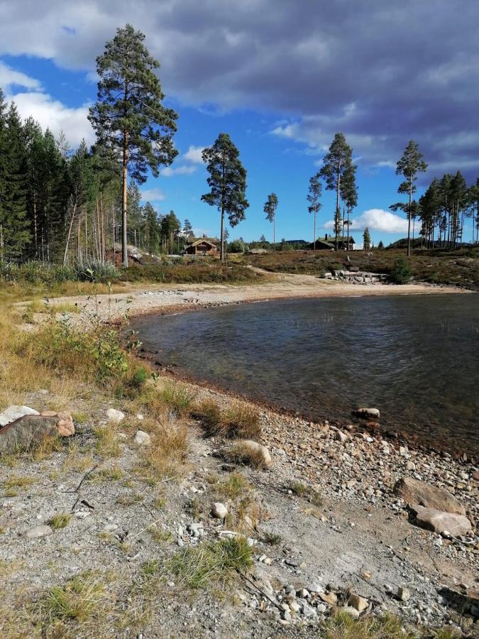 Norbel Hytte Norway فرادال المظهر الخارجي الصورة